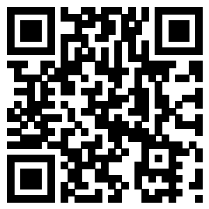 the qr code